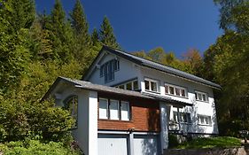 Schwarzwaldhimmel