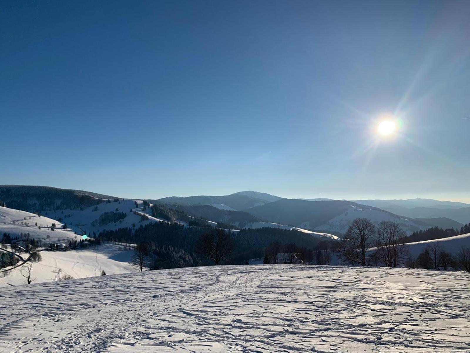 Schwarzwaldhimmel Villa Feldberg  Buitenkant foto