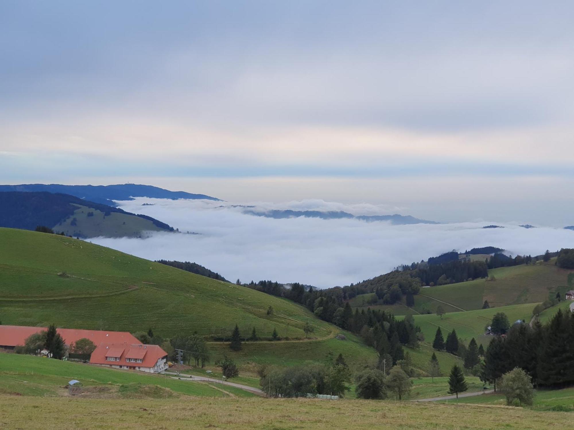 Schwarzwaldhimmel Villa Feldberg  Buitenkant foto