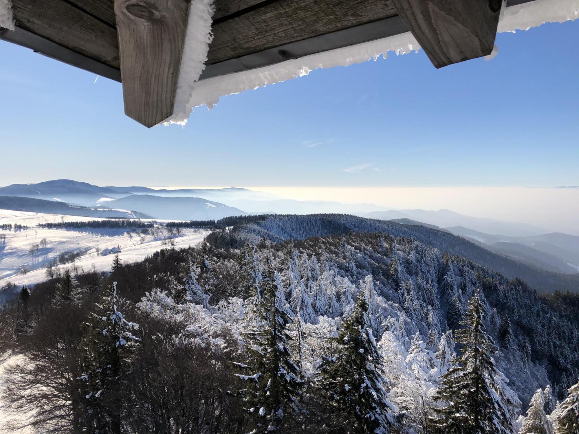 Schwarzwaldhimmel Villa Feldberg  Buitenkant foto