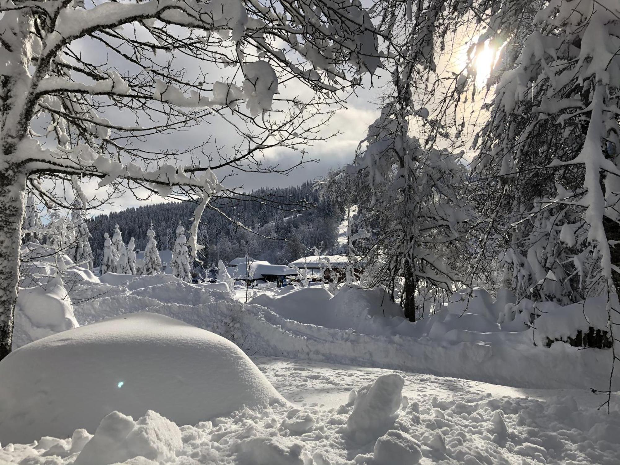 Schwarzwaldhimmel Villa Feldberg  Buitenkant foto
