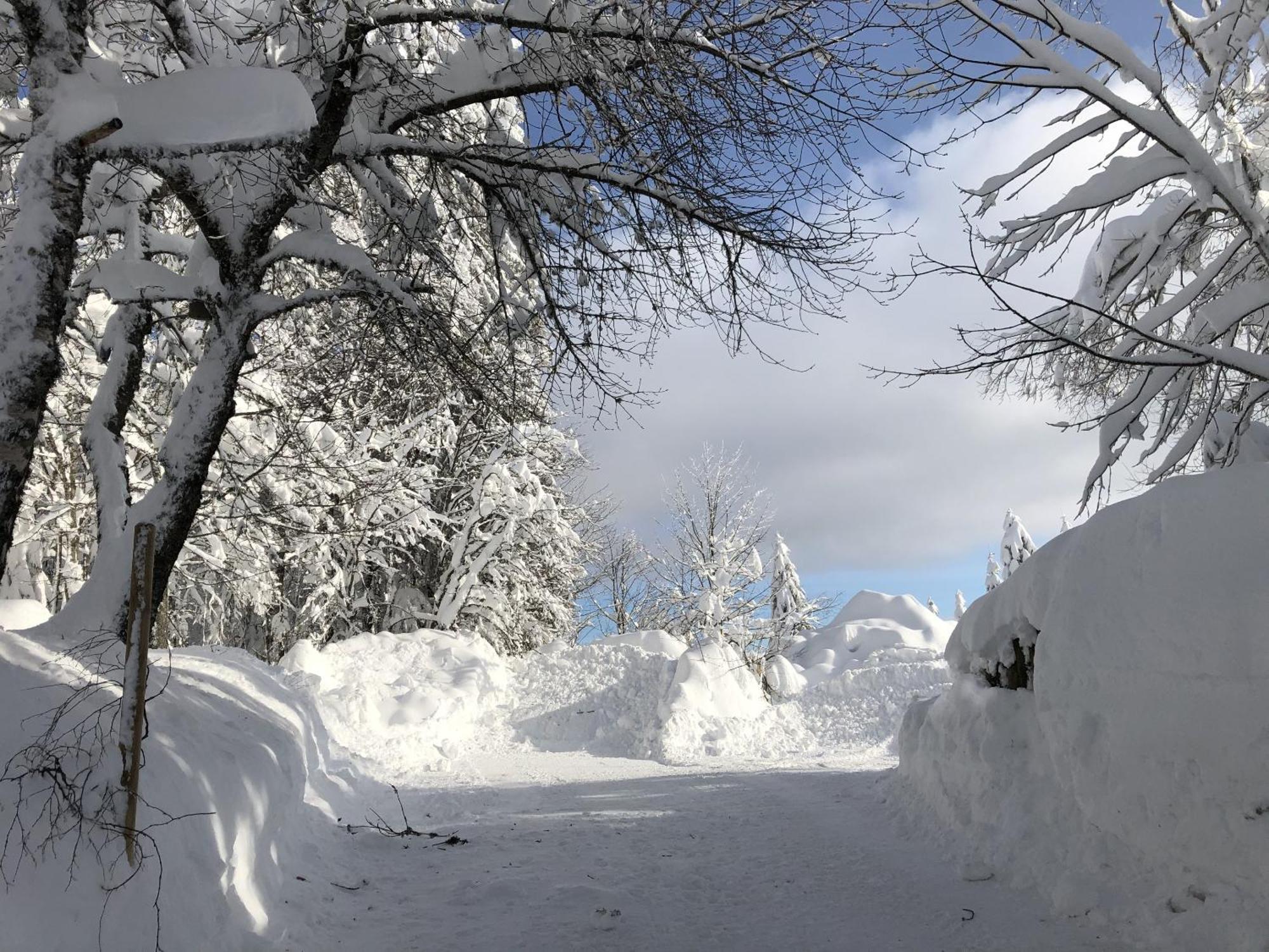 Schwarzwaldhimmel Villa Feldberg  Buitenkant foto