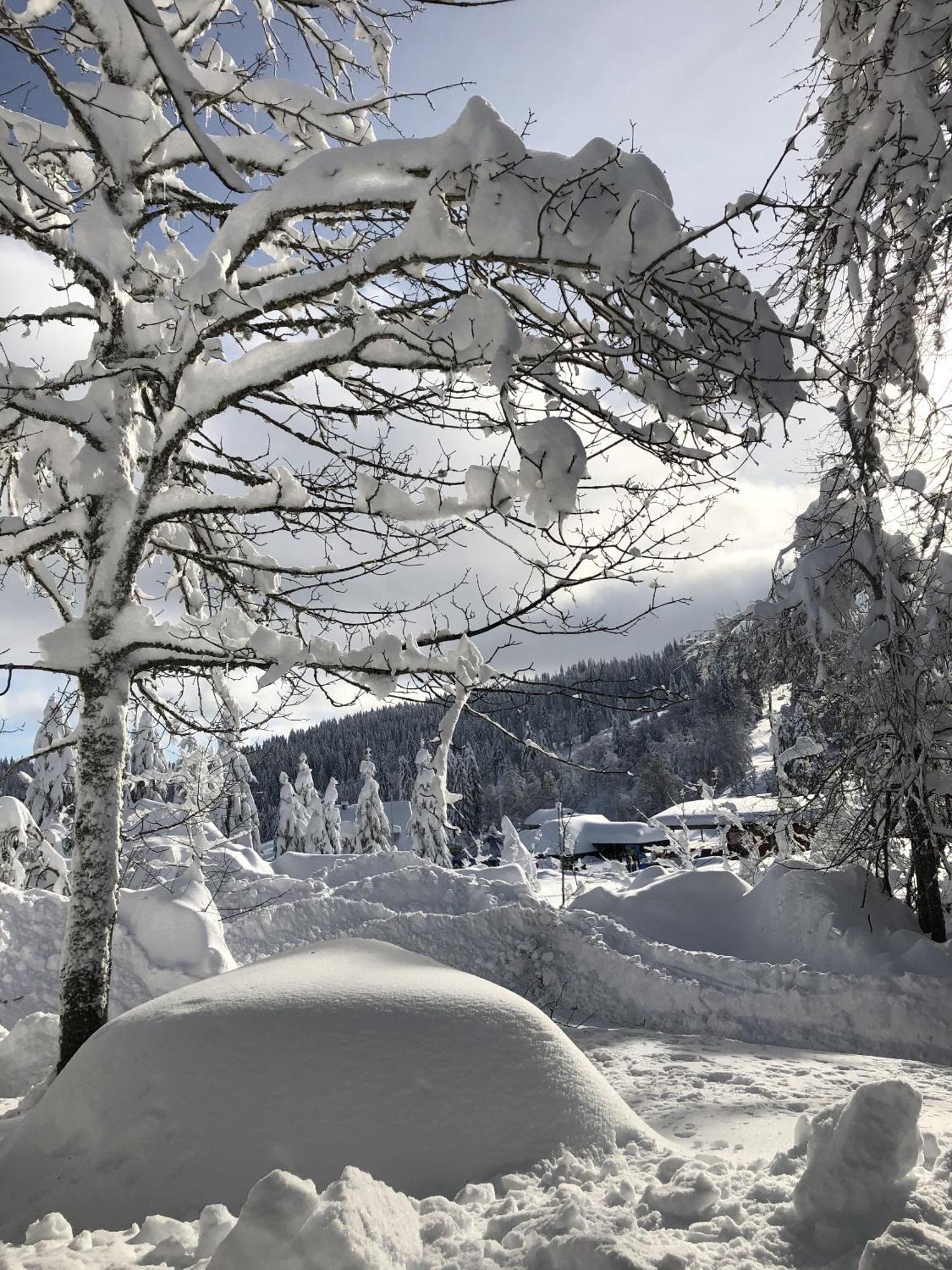 Schwarzwaldhimmel Villa Feldberg  Buitenkant foto