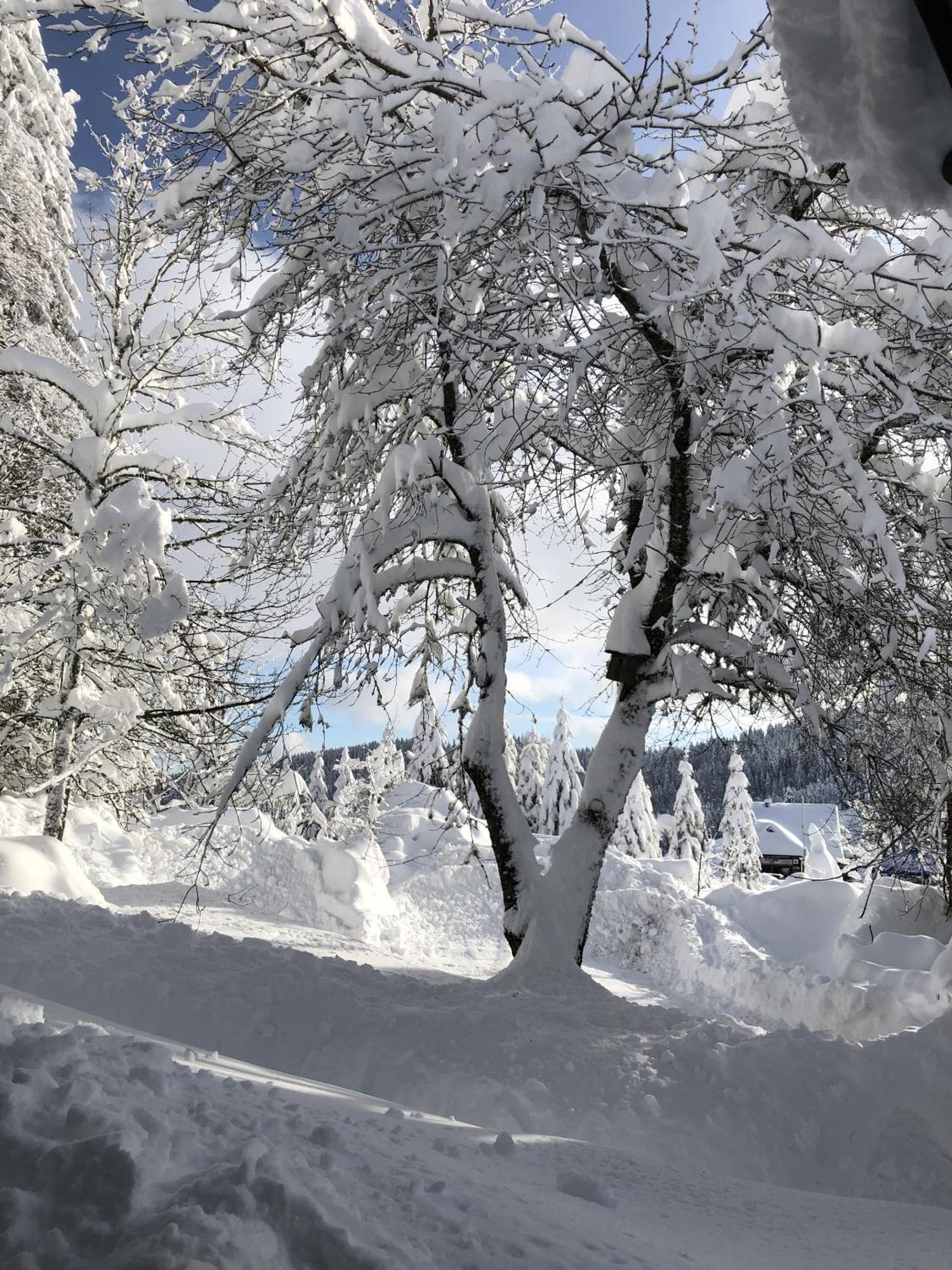 Schwarzwaldhimmel Villa Feldberg  Buitenkant foto