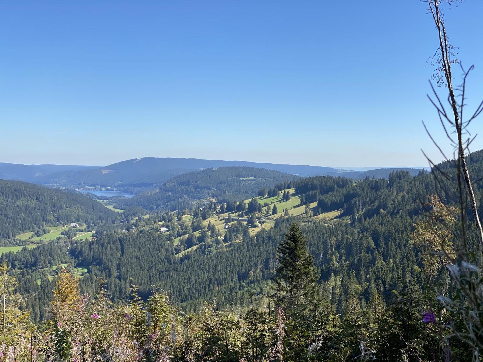 Schwarzwaldhimmel Villa Feldberg  Buitenkant foto