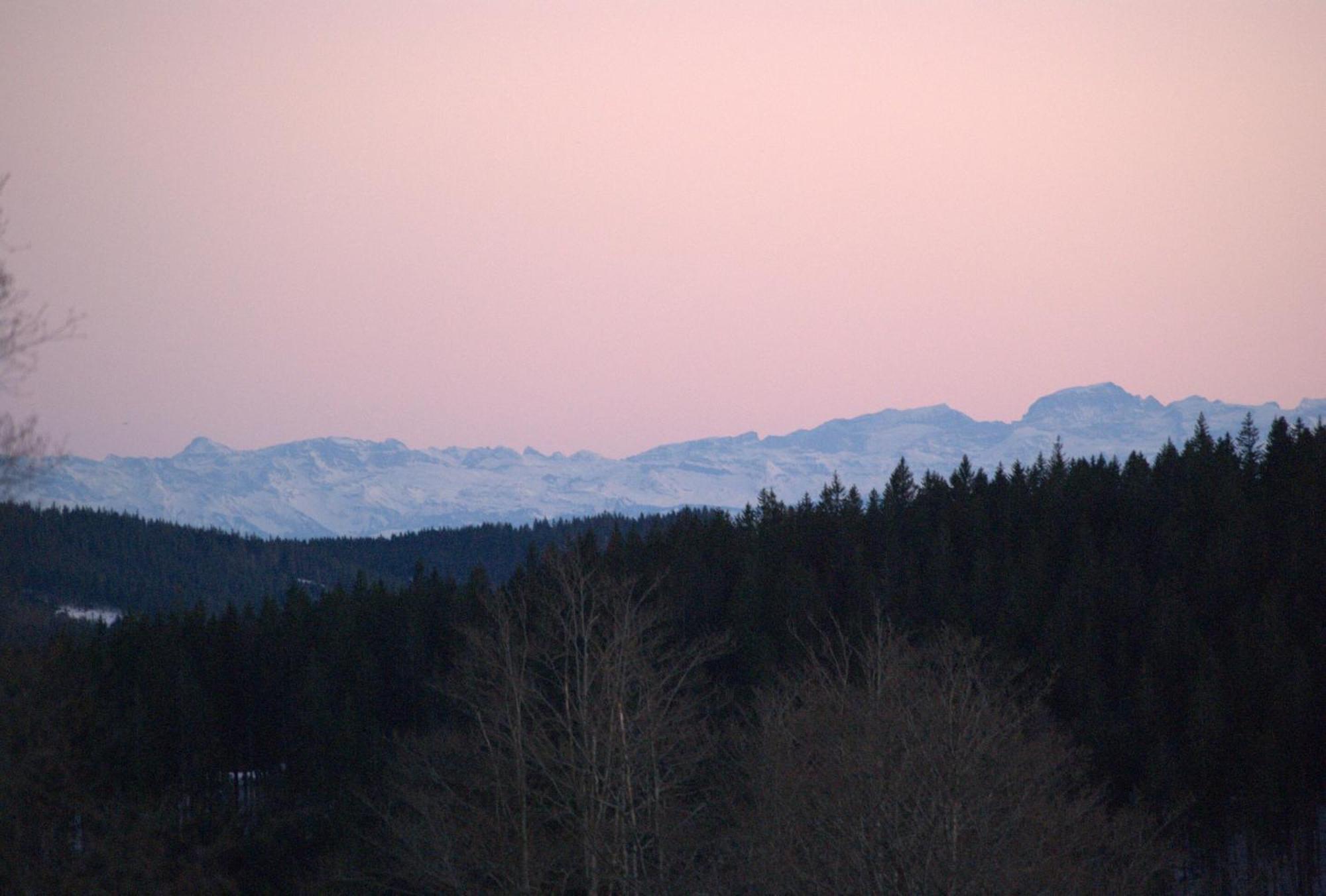 Schwarzwaldhimmel Villa Feldberg  Kamer foto