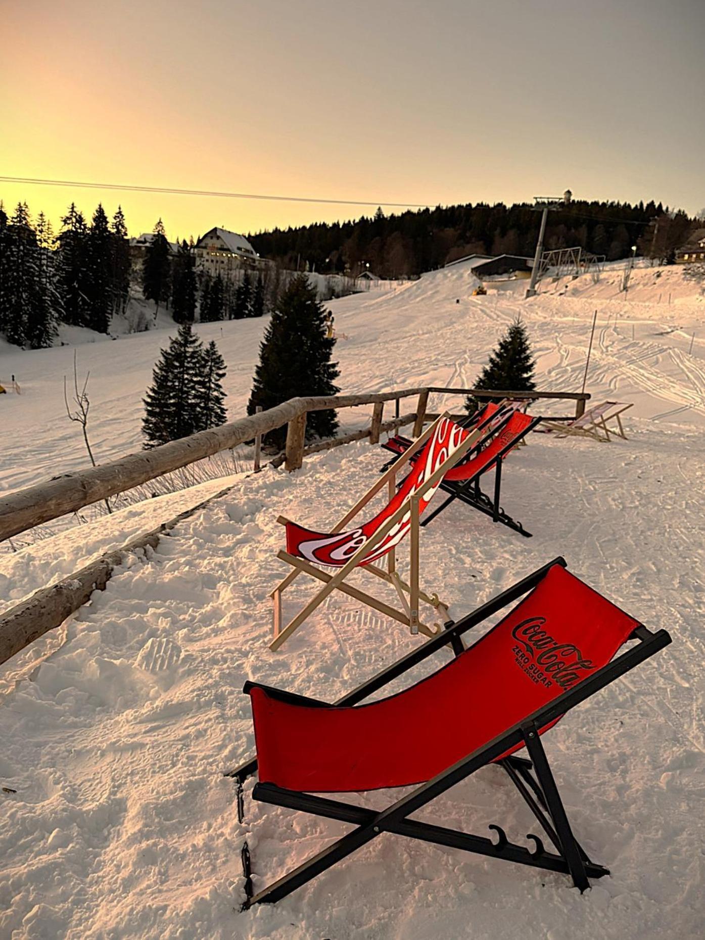 Schwarzwaldhimmel Villa Feldberg  Buitenkant foto